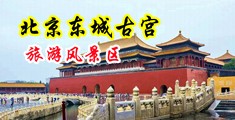 小骚逼被操爽的视频中国北京-东城古宫旅游风景区
